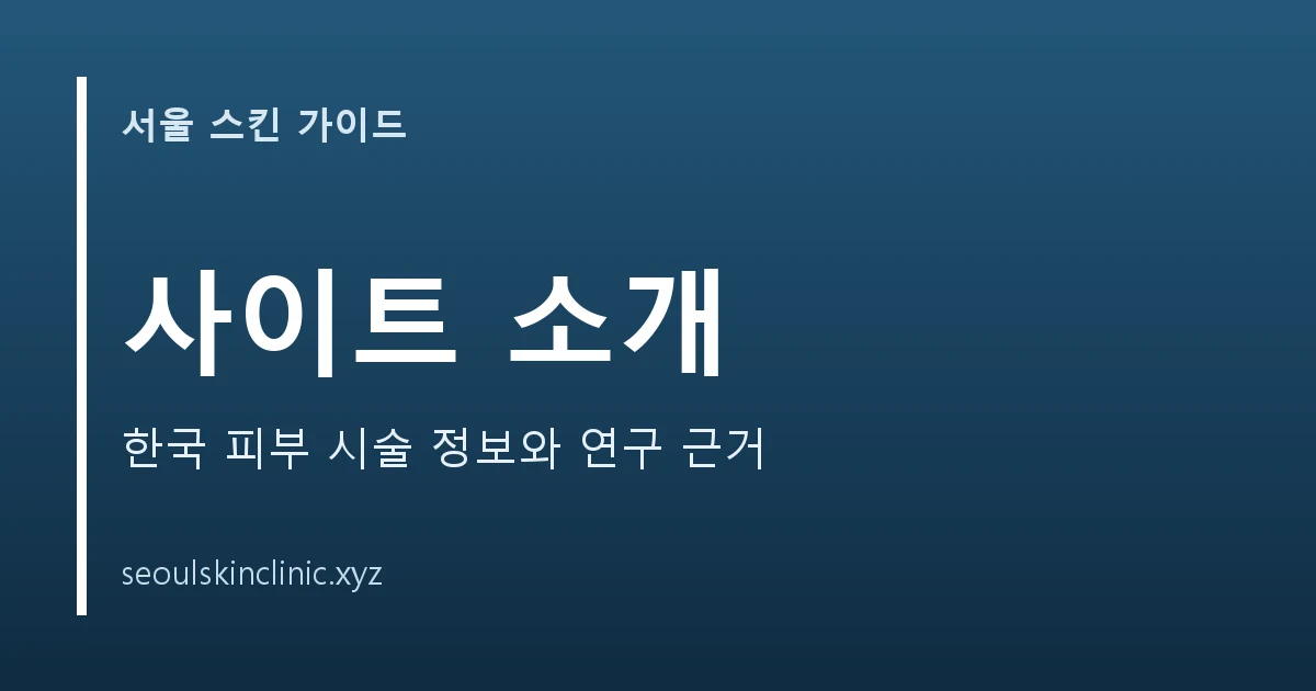 서울 스킨 가이드 소개 대표 이미지