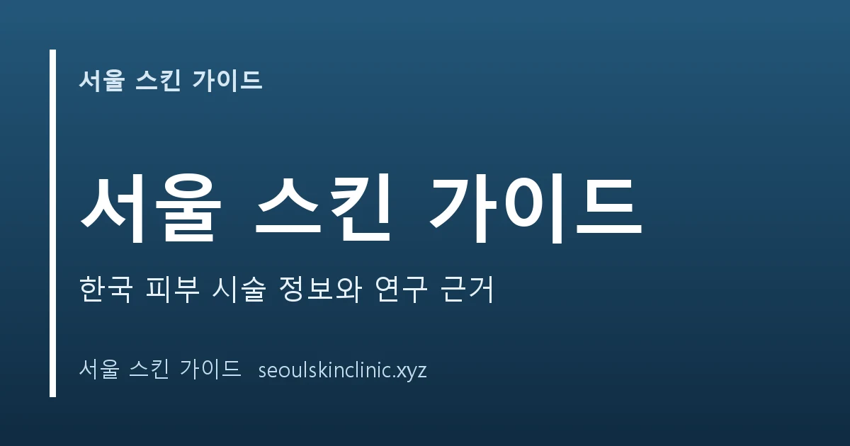 서울 스킨 가이드 대표 이미지